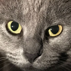 Meet your Posher, Carly